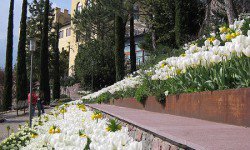 The gardens of Trauttmannsdorff Castle (Meran/Merano)